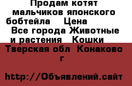 Продам котят мальчиков японского бобтейла. › Цена ­ 30 000 - Все города Животные и растения » Кошки   . Тверская обл.,Конаково г.